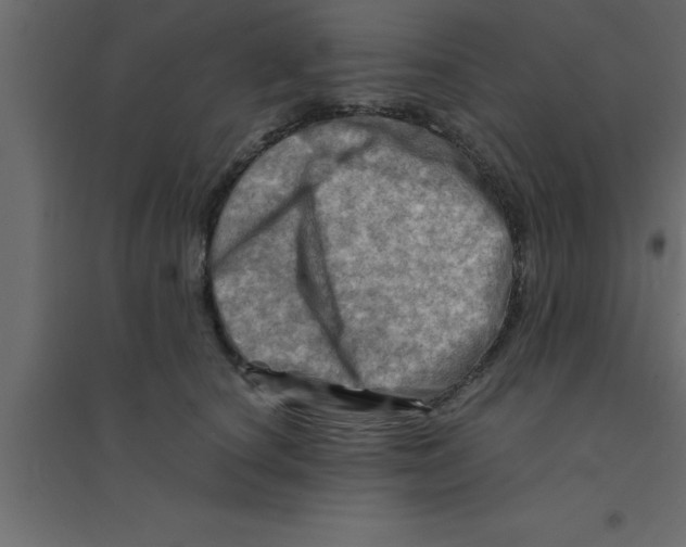 X0000094200660200711241638