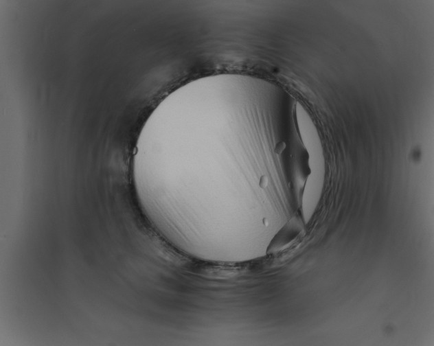 X0000094200661200711241638