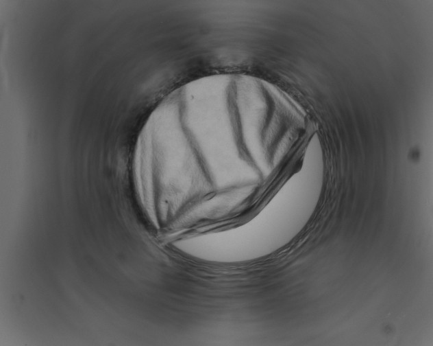 X0000094200662200711241638