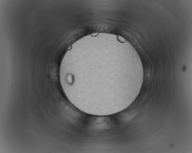 X0000094200663200711241638