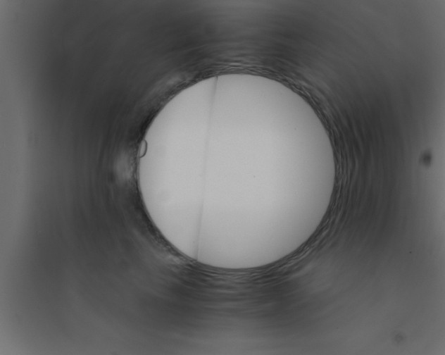X0000094200665200711241638