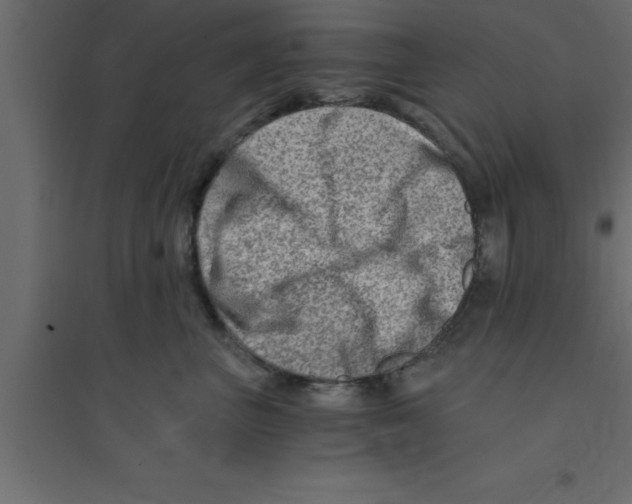 X0000094200667200711241638