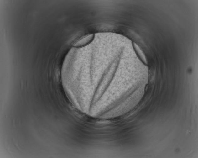 X0000094200669200711241639