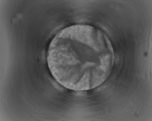 X0000094200670200711241639