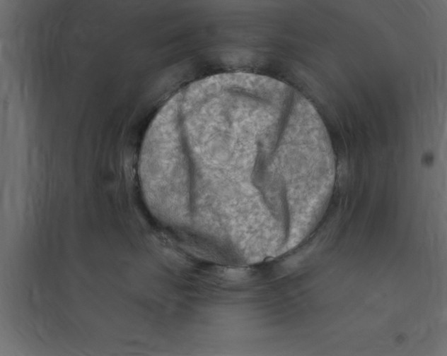X0000094200671200711241639