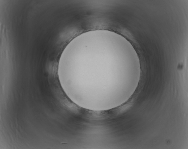 X0000094200672200711241639