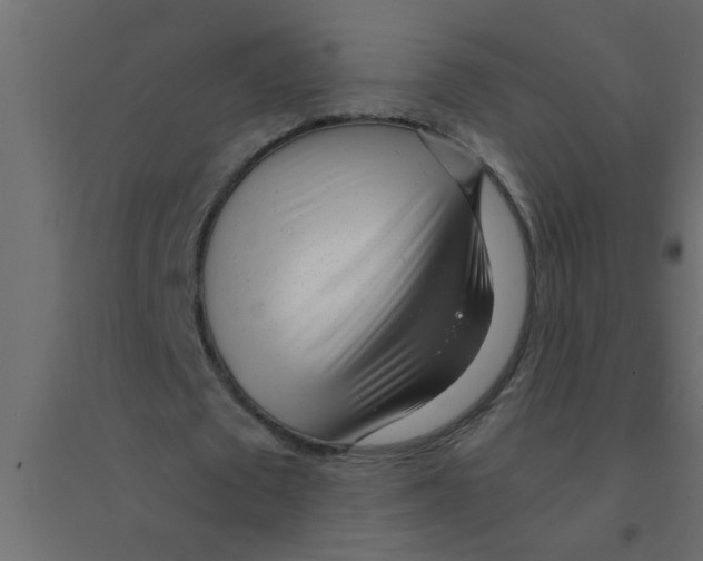 X0000094200673200711241638