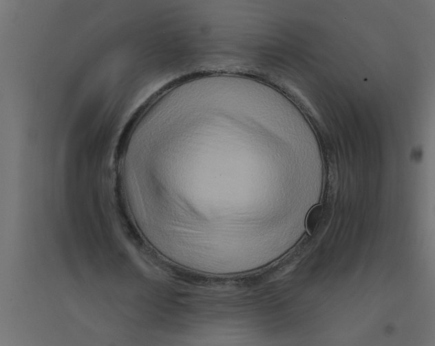 X0000094200674200711241638
