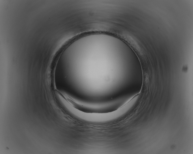 X0000094200676200711241638