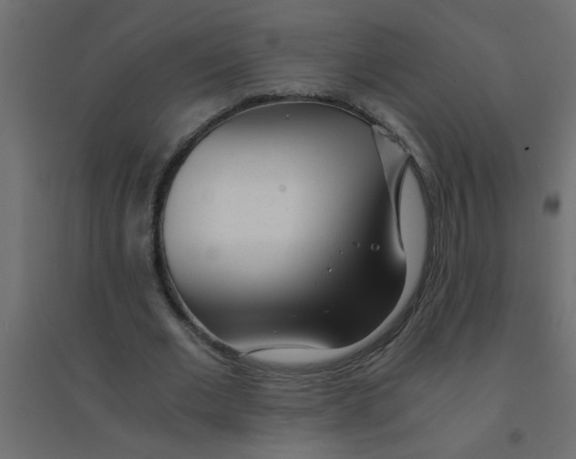 X0000094200677200711241637