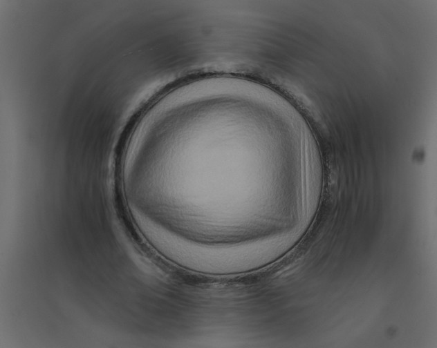 X0000094200678200711241637