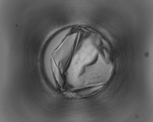 X0000094200680200711241637