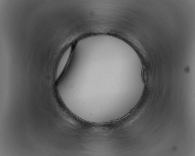 X0000094200681200711241637