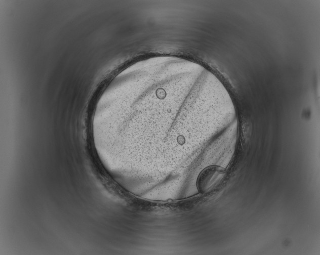 X0000094200682200711241637
