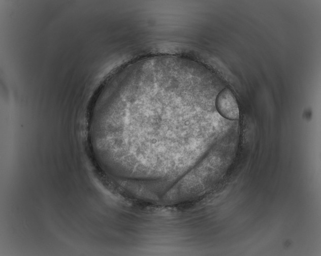 X0000094200683200711241637