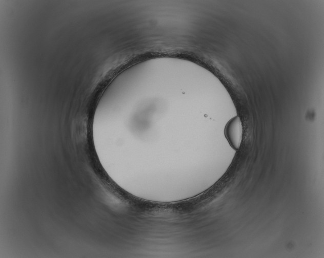 X0000094200685200711241637