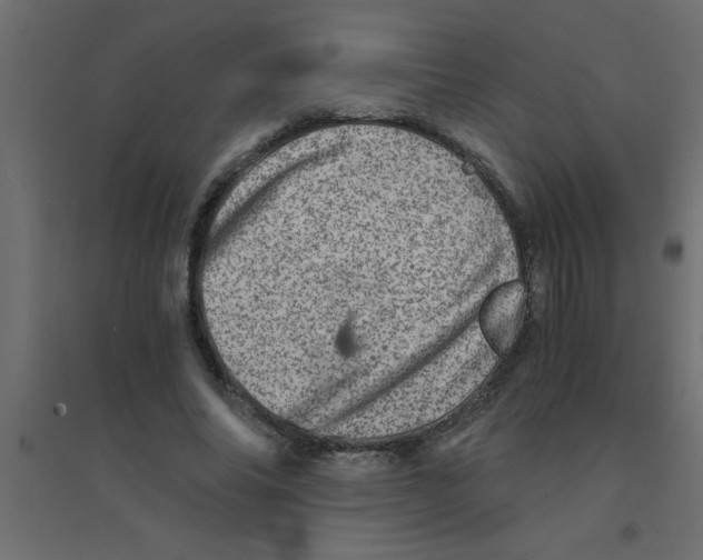 X0000094200686200711241637
