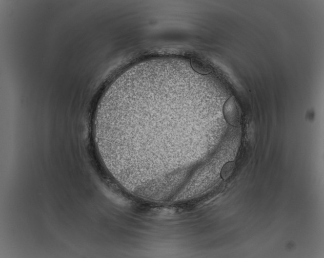 X0000094200687200711241637