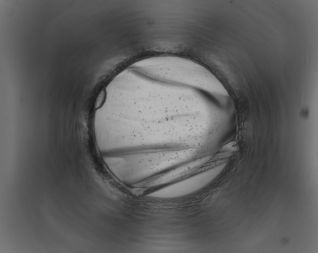 X0000094200688200711241637