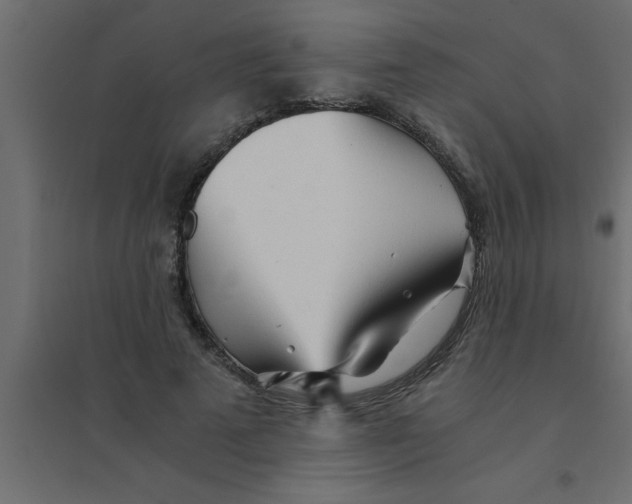 X0000094200689200711241637