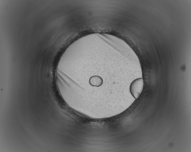 X0000094200690200711241637