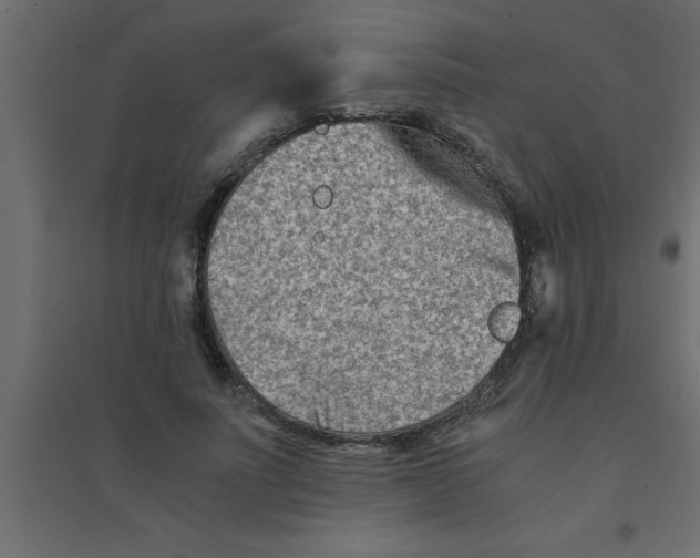 X0000094200691200711241637