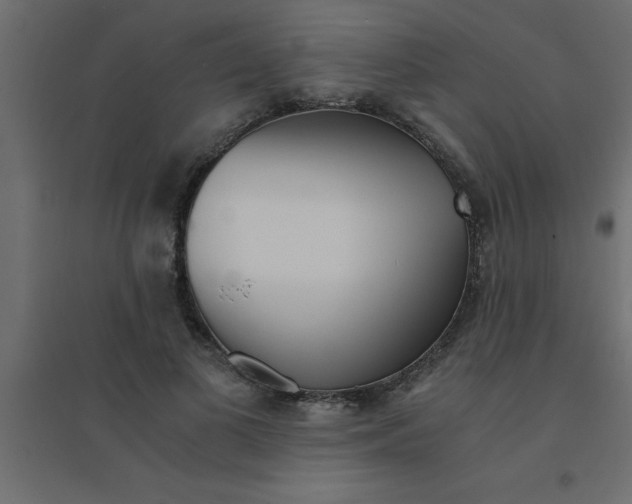 X0000094200693200711241637