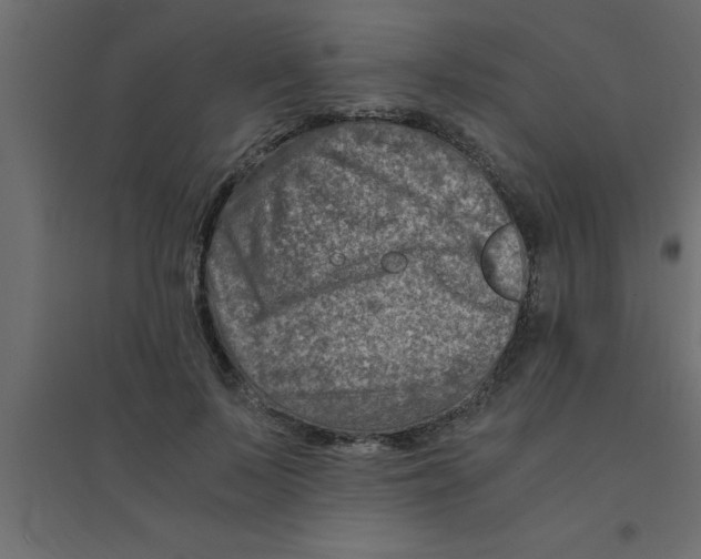 X0000094200695200711241637