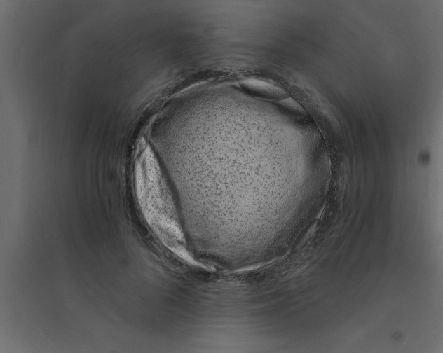 X0000094200696200711241637