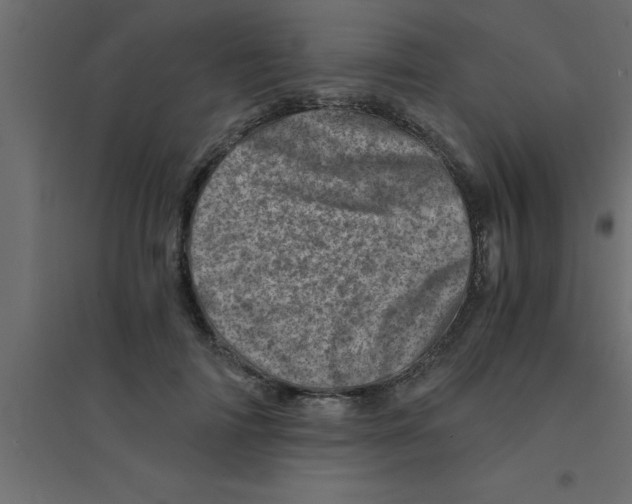 X0000094200698200711241637