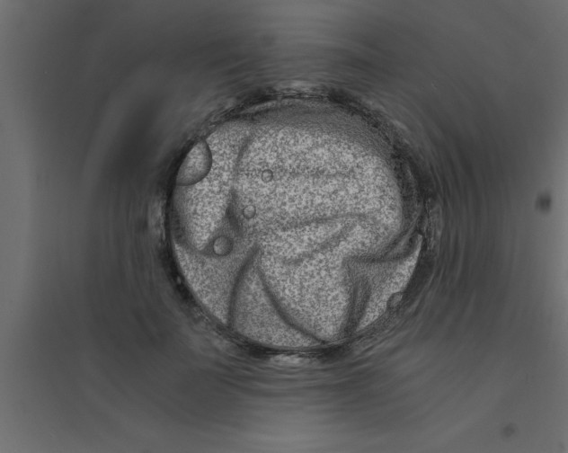 X0000094200699200711241637