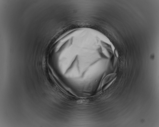 X0000094200700200711241637