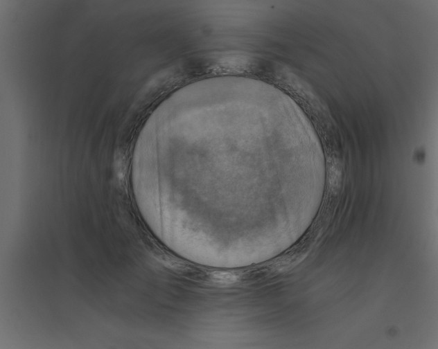 X0000094200701200711241637