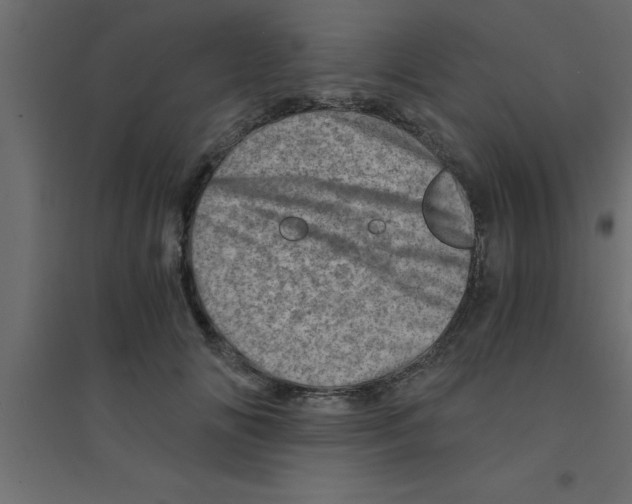 X0000094200702200711241637