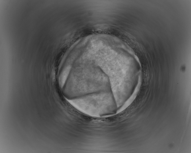 X0000094200703200711241637