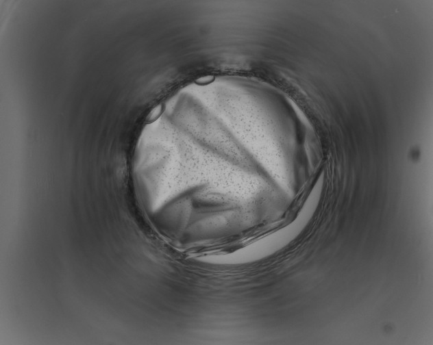 X0000094200704200711241637