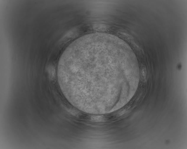 X0000094200705200711241637