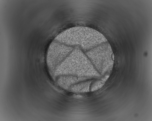X0000094200706200711241637