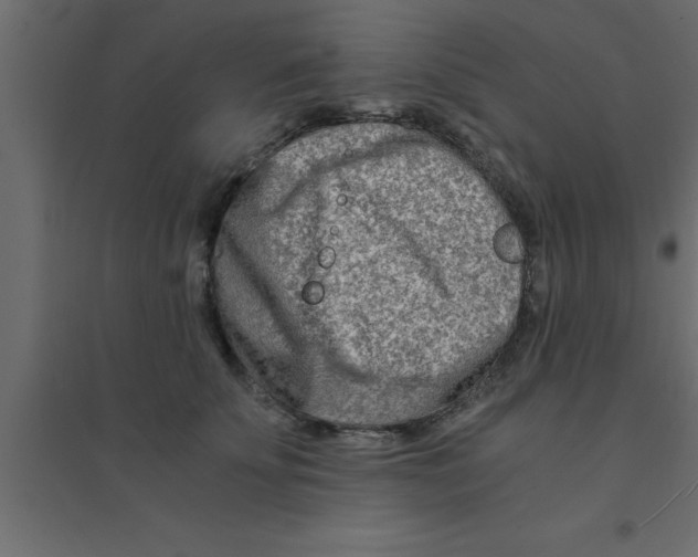 X0000094200707200711241637