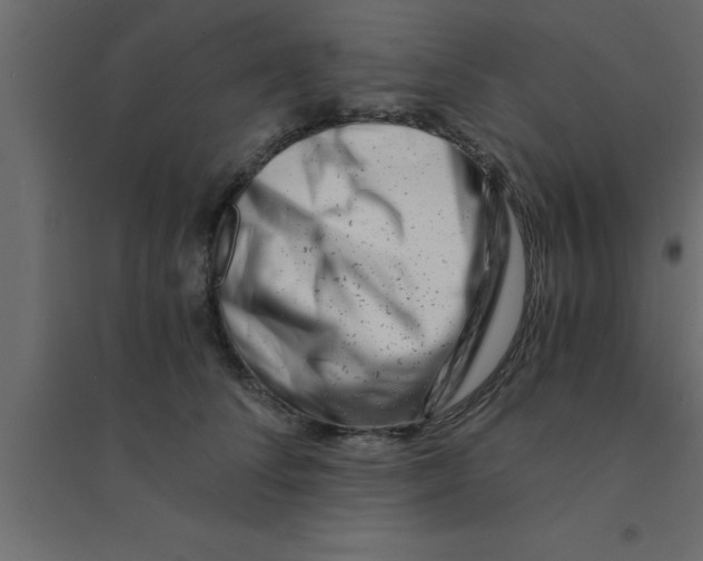 X0000094200708200711241637
