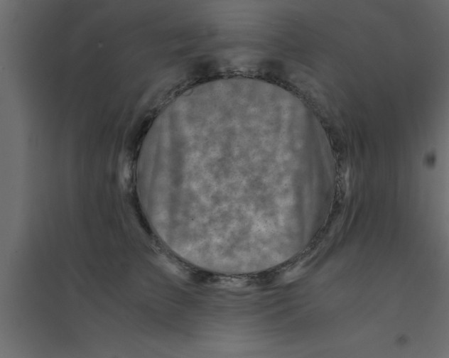 X0000094200709200711241637