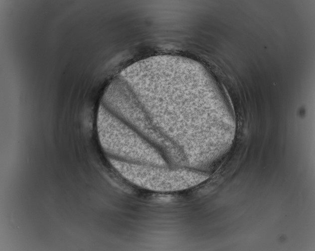 X0000094200710200711241637