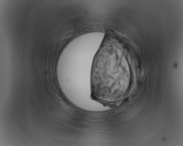 X0000094200711200711241637