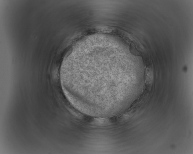 X0000094200713200711241637