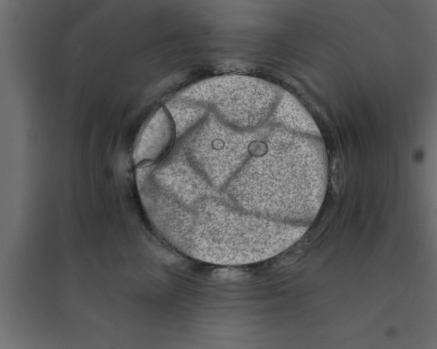 X0000094200714200711241637
