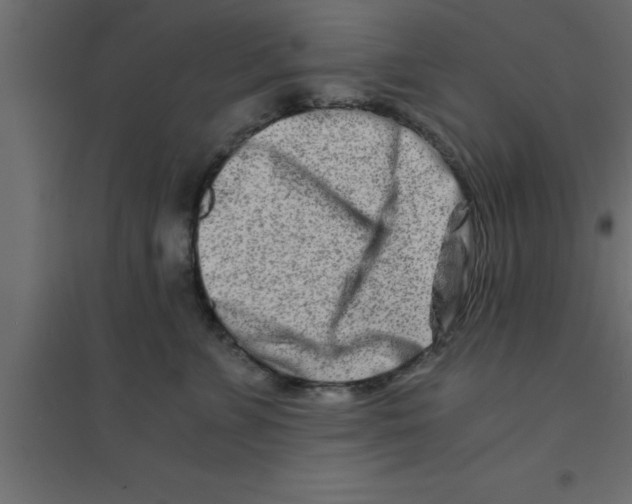 X0000094200715200711241637