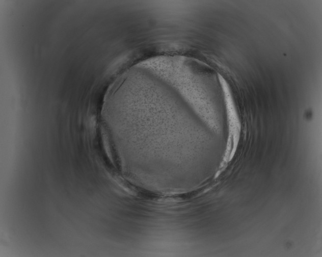 X0000094200716200711241637