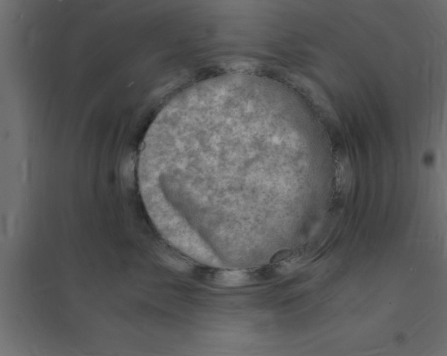 X0000094200717200711241637