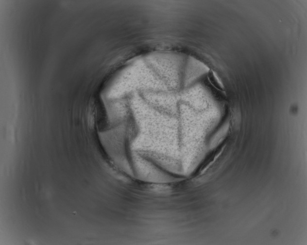 X0000094200719200711241637