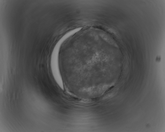 X0000094200720200711241637